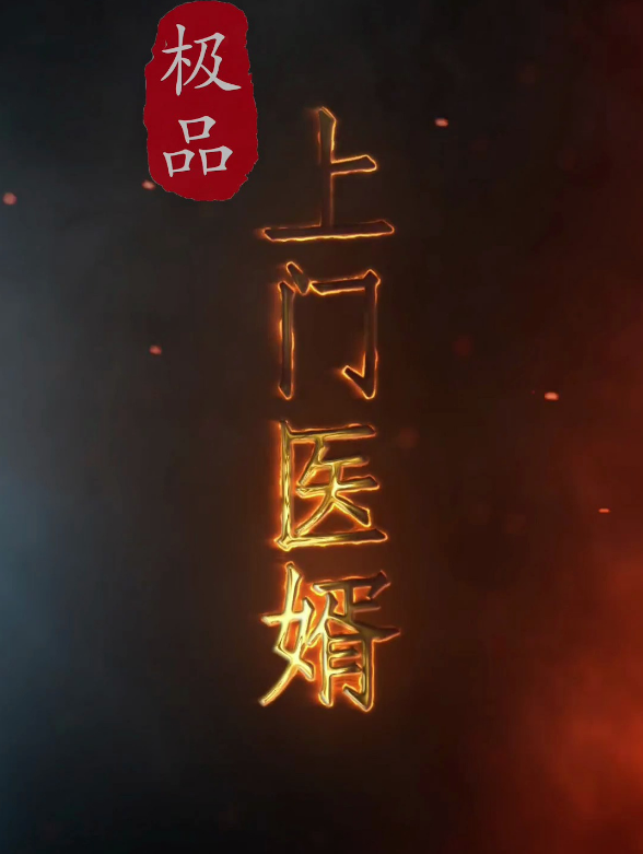極品上門醫(yī)婿第26集