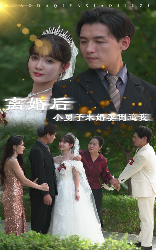 離婚后，小舅子未婚妻倒追我(全集)