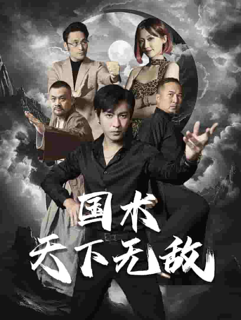 國術(shù)天下無敵第51集