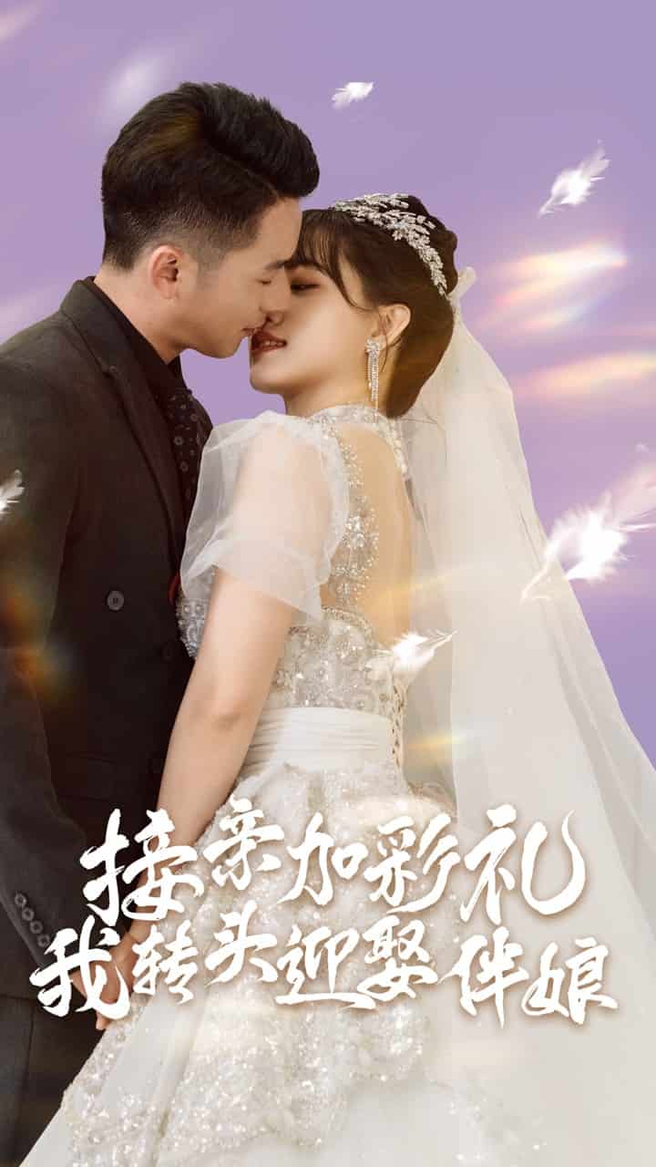 接親加彩禮，我轉(zhuǎn)頭迎娶伴娘(全集)