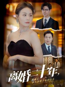 離婚二十年，我成了前夫高攀不起的存在(全集)